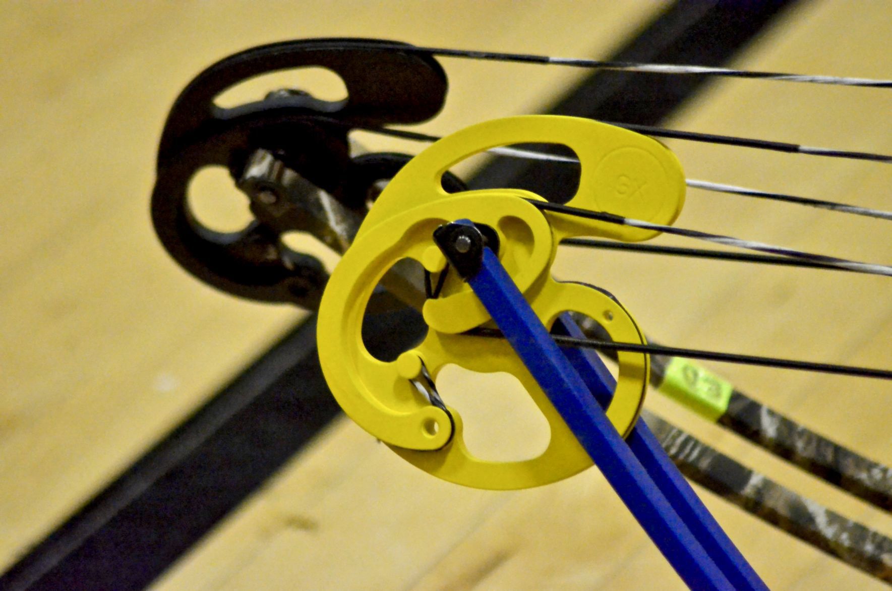 Coweta Archery Meet 2020